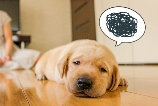 SEがうつ病になりやすいというのは本当か？原因は何なのか？