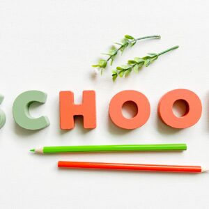 システムエンジニアになるには大学に行くべき？それとも専門学校？